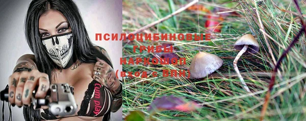 спайс Бородино