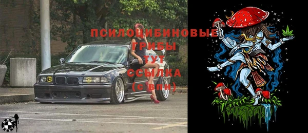 спайс Бородино